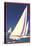 Yacht Race, Graphics-null-Stretched Canvas