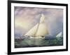 Yacht Race in New York Harbor-James^ E Buttersworth-Framed Giclee Print