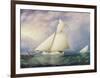 Yacht Race in New York Harbor-James^ E Buttersworth-Framed Giclee Print