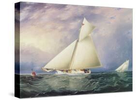 Yacht Race in New York Harbor-James E^ Buttersworth-Stretched Canvas