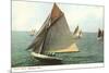 Yacht Race, Madison, Wisconsin-null-Mounted Premium Giclee Print