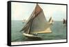 Yacht Race, Madison, Wisconsin-null-Framed Stretched Canvas