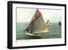 Yacht Race, Madison, Wisconsin-null-Framed Art Print