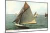 Yacht Race, Madison, Wisconsin-null-Mounted Art Print