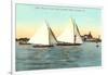 Yacht Races off Coronado, San Diego, California-null-Framed Art Print