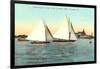 Yacht Races off Coronado, San Diego, California-null-Framed Art Print