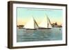 Yacht Races off Coronado, San Diego, California-null-Framed Art Print