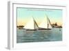 Yacht Races off Coronado, San Diego, California-null-Framed Art Print