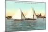 Yacht Races off Coronado, San Diego, California-null-Mounted Art Print