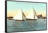 Yacht Races off Coronado, San Diego, California-null-Framed Stretched Canvas