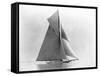 Yacht Reliance at Full Sail-null-Framed Stretched Canvas