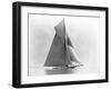 Yacht Reliance at Full Sail-null-Framed Photographic Print