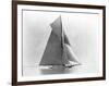 Yacht Reliance at Full Sail-null-Framed Photographic Print