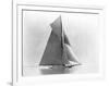 Yacht Reliance at Full Sail-null-Framed Photographic Print