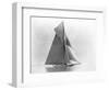 Yacht Reliance at Full Sail-null-Framed Photographic Print