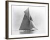 Yacht Reliance at Full Sail-null-Framed Photographic Print