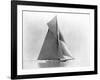 Yacht Reliance at Full Sail-null-Framed Photographic Print