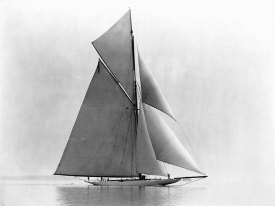 Premium Photographic Print, , large