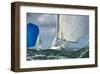Yacht Sailing a Regatta-null-Framed Art Print