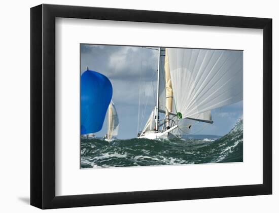 Yacht Sailing a Regatta-null-Framed Art Print