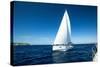 Yacht Sailing at Competition.-De Visu-Stretched Canvas