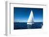 Yacht Sailing at Competition.-De Visu-Framed Photographic Print