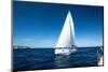 Yacht Sailing at Competition.-De Visu-Mounted Photographic Print