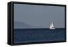 Yacht. Sailing Boat. Sailboat White Sail Boat between Blue Sky and Dark Blue Sea. an Island on Fore-PROtoys-Framed Stretched Canvas