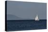 Yacht. Sailing Boat. Sailboat White Sail Boat between Blue Sky and Dark Blue Sea. an Island on Fore-PROtoys-Stretched Canvas