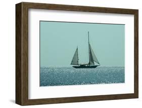 Yacht Sailing in Mediterranean during Summer-ilker canikligil-Framed Photographic Print