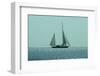 Yacht Sailing in Mediterranean during Summer-ilker canikligil-Framed Photographic Print