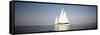 Yacht Sailing in the Sea-null-Framed Stretched Canvas