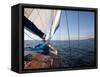 Yacht Sailing West Along the Coast, Dorset, England, United Kingdom, Europe-David Lomax-Framed Stretched Canvas