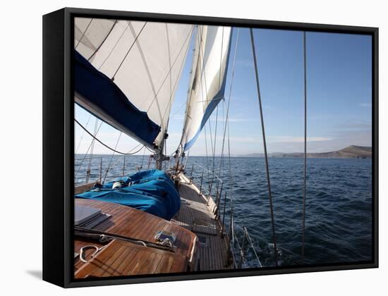 Yacht Sailing West Along the Coast, Dorset, England, United Kingdom, Europe-David Lomax-Framed Stretched Canvas