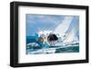 Yacht Skipper Sailing Regatta-null-Framed Art Print