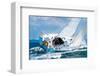 Yacht Skipper Sailing Regatta-null-Framed Art Print