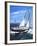 Yachta Tachta-Scott Westmoreland-Framed Art Print