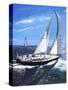 Yachta Tachta-Scott Westmoreland-Stretched Canvas