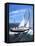 Yachta Tachta-Scott Westmoreland-Framed Stretched Canvas