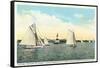 Yachting Near Michigan City-null-Framed Stretched Canvas