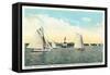 Yachting Near Michigan City-null-Framed Stretched Canvas