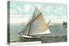 Yachting on Put-In Bay-null-Stretched Canvas