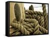 Yachting. Parts of Yacht. Nautical Ship Rope.-Voy-Framed Stretched Canvas