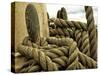 Yachting. Parts of Yacht. Nautical Ship Rope.-Voy-Stretched Canvas