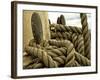 Yachting. Parts of Yacht. Nautical Ship Rope.-Voy-Framed Photographic Print