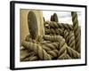 Yachting. Parts of Yacht. Nautical Ship Rope.-Voy-Framed Photographic Print