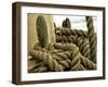 Yachting. Parts of Yacht. Nautical Ship Rope.-Voy-Framed Photographic Print