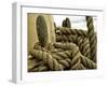 Yachting. Parts of Yacht. Nautical Ship Rope.-Voy-Framed Photographic Print