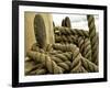 Yachting. Parts of Yacht. Nautical Ship Rope.-Voy-Framed Photographic Print