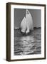 Yachting-null-Framed Premium Photographic Print